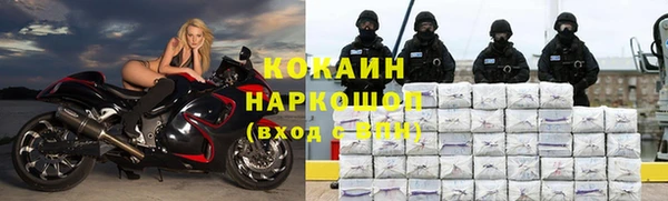 молекула духа Балахна