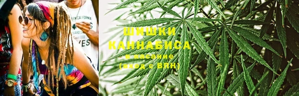 молекула духа Балахна