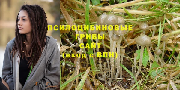 молекула духа Балахна