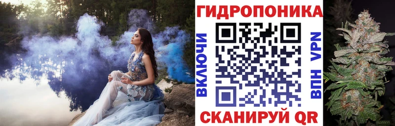 Шишки марихуана марихуана  купить закладку  Лаишево 
